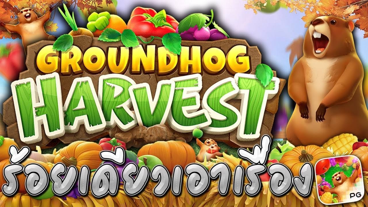 รีวิวเกม GROUNDHOG HARVEST