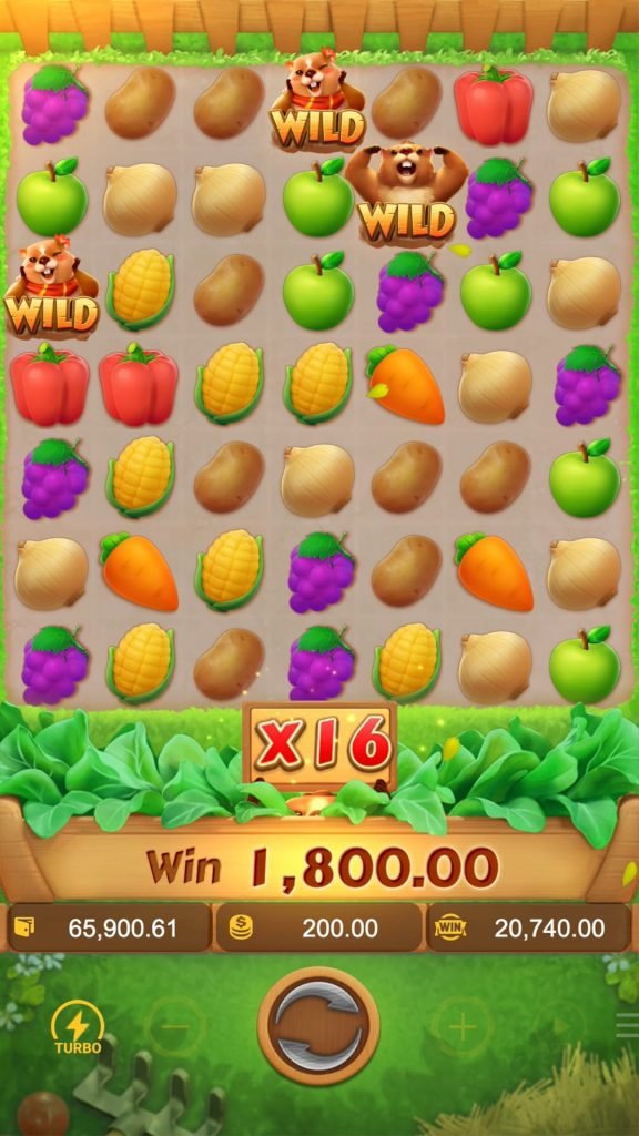 รีวิวเกม GROUNDHOG HARVEST รีวิวเกม GROUNDHOG HARVEST